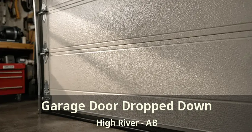 Garage Door Dropped Down High River - AB